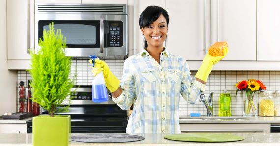 GREEN CLEANING  DES PLAINES IL