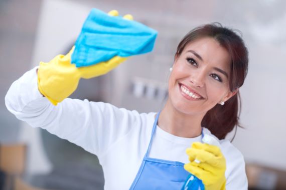 MAID SERVICES TAMPA BAY FL